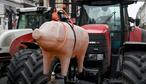 Afbeelding toont een protest van varkenshouders, georganiseerd door het concern 'Algemeen Boerensyndicaat', om steun te eisen voor de sector, woensdag 15 december 2021 in Roeselare.